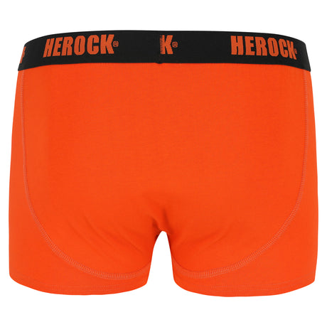 HEROCK Gorik boxershorts – set van 3 – achteraanzicht